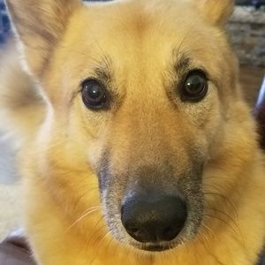 Meet your Posher, Rick